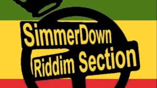"For the Youth" - Sir Life and SD Riddim Section