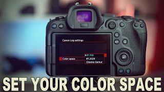 Canon R6 - C Log 3 Settings: Color Space