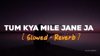 Tum Kya Mile Jaane Jaan | Slowed & Reverb | Udit Narayan | Pujita Musics