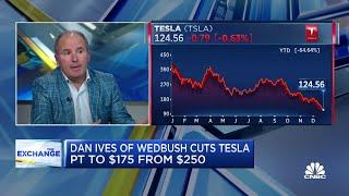 Elon Musk's Twitter drama has been 'nightmare on Elm Street' for Tesla investors, say Dan Ives