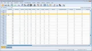 Data cleaning in SPSS