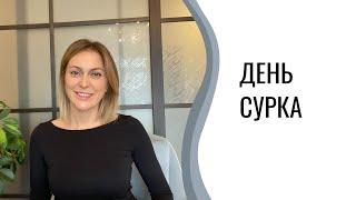 День сурка | Как выбраться из рутины