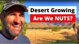 Visit our NEW Desert Garden and Homestead! Our First Steps on This Homestead