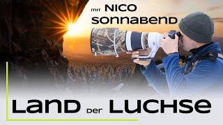 Im Land der Luchse mit @nicosonnabend Teil 1 - Naturfotografie / Tierfotografie