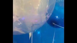 Qualatex 24 inch helium balloons in a bouquet