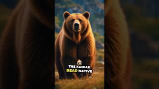 The biggest bear in the world! Kodiak Bear