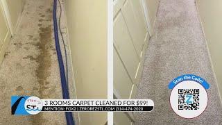 What are the dangers of DIY carpet cleaning? Zerorez talks!