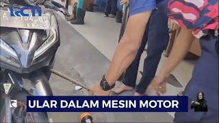 Petugas Evakuasi Ular Piton dalam Mesin Motor di Padang - SIS 29/07