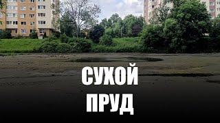В Калининграде осушили Ялтинский пруд