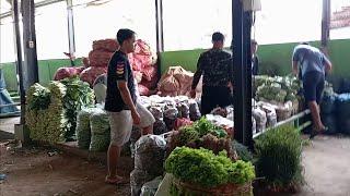 UPDATE HARGA SAYUR DI PASAR INDUK GROSIR PORONG SIDOARJO PAGI HARI