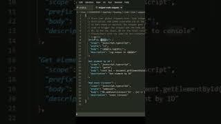 JavaScript snippets on VS code. check the video description to find the configuration.