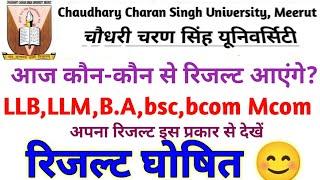 ccsu final Year रिजल्ट घोषित|ccsu all final year result declare today update #ccsu #result #viral