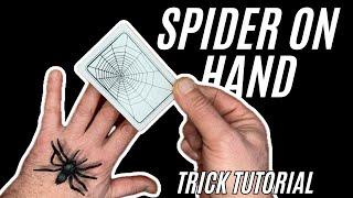 SPIDER ON HAND 🪄️ Magic Trick Tutorial #magic #tricks #tutorial