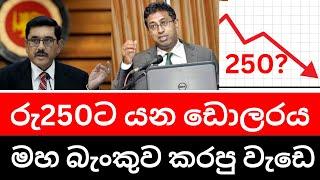 ඩොලරය කොතනින් නතර වෙයිද? ⭕ මහ බැංකුව - Dollar Rs 250? Today exchange rate #2024