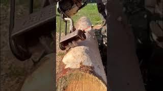 Eder Schälgerät macht das Leben leichter  #blockbau #chainsaw #holzliebe #holzmachtglücklich