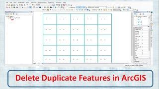 How to Delete Duplicate Features in ArcGIS