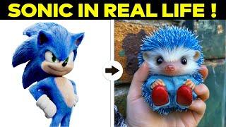 SONIC THE HEDGEHOG Characters Real Life