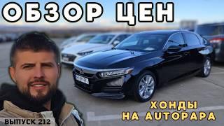 Цены в Грузии рухнули! Хонды из Грузии. Обзор цен рынок АВТОПАПА.#mastervadya #autopapa  #offroad