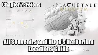 Chapter 7 Felons - All Souvenirs and Hugo’s Herbarium Locations Guide l A Plague Tale  Requiem
