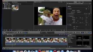 how to export image from final cut pro