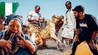 I Met the Hyena Men  in Nigeria