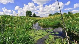 Ловля ЩУКИ В МИКРОРЕЧКЕ !!! Рыбалка на спиннинг