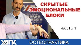 Как найти скрытые Эмоциональные проблемы? Часть 1 (Вячеслав Пичугин)