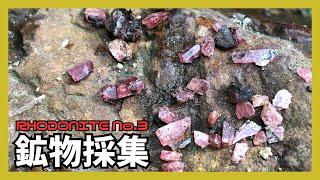 【鉱物採集】鉱物女子ぴろこさんとバラ輝石の結晶探し！【第15弾】RHODONITE No.3