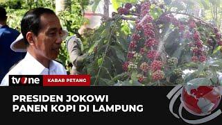 Kunjungi Lampung, Presiden Jokowi Panen Kopi | Kabar Petang tvOne
