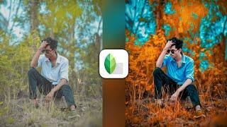 Snapseed Best Realistic Colour Effect Editing Trick  | Lightroom Background Colour Change Editing