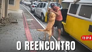 Reencontramos o nosso cachorro depois de 28 dias - T2 EP.8