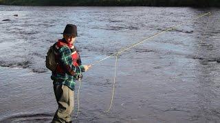 Tornionjoki, Pello: perhokalastus - 2014 - Fly fishing in Tornio River in Pello Lapland Finland