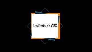 VBA Les Variables (Suites)