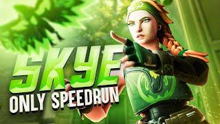 Skye Only Speedrun (Full Series) Valorant