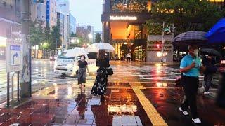 Fukuoka City Walking Tour4kHakata station to Gionwalk on the art of rain