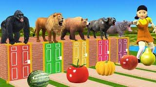 Wild Animals Game Choose The Right Door Eat Fruits Challenge With Gorilla Lion Buffalo Bear Hippo