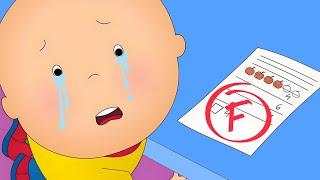 School Fail | Caillou Cartoon