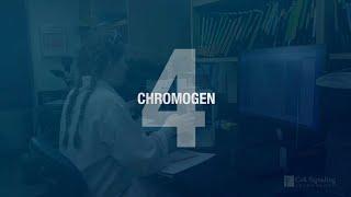 Better IHC Step 4: Chromogen