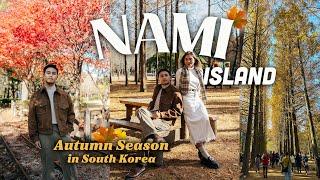 AUTUMN in NAMI ISLAND - Best season to visit 