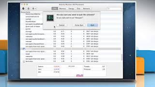 How to Quit from Activity Monitor in Mac® OS X™