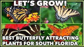 BEST BUTTERFLY ATTRACTING PLANTS FOR A SOUTH FLORIDA GARDEN