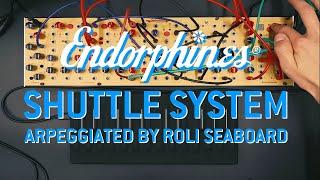 Endrorphin.es Shuttle System arpeggiated by Roli Seaboard