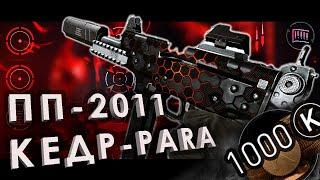 ЛУЧШИЕ МОДЫ НА ПП-2011 КЕДР-PARA в WARFACE