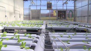 Summit for controlled environment agriculture