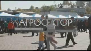 Агросектор. Жамбыл облысының жәрмеңкесі