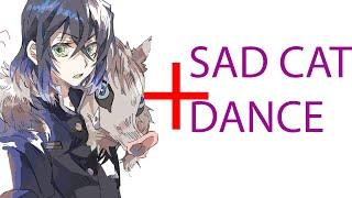 SAD CAT DANCE + INOSUKE HASHIBIRA = ??? Demon Slayer Season 3 SAD CAT DANCE INOSUKE HASHIBIRA