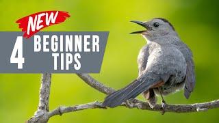 Bird Photography for Beginners: 4 Unusual Tips