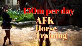 BDO: 2023 AFK horse training (150m / night)