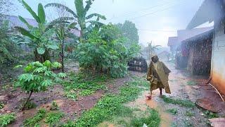 Walking in the rain||beautiful Indonesian countryside||heavy rain all day