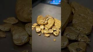 Diver Finds $1500 Of Gold Nuggets In Bedrock Crack!
